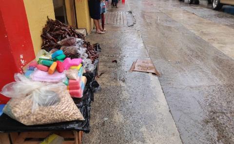 Mercado ambulante, con bajas ganancias