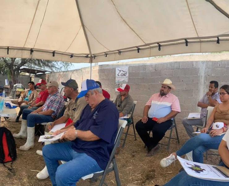 Reforzaron combate a la rabia: veterinarios