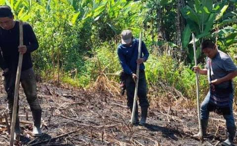 El alma del maíz sigue viva en la Huasteca
