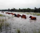 ´Respaldará´ Gobierno al sector agropecuario