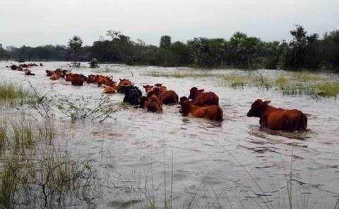´Respaldará´ Gobierno al sector agropecuario

