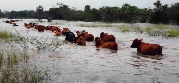 ´Respaldará´ Gobierno al sector agropecuario ´Respaldará´ Gobierno al sector agropecuario