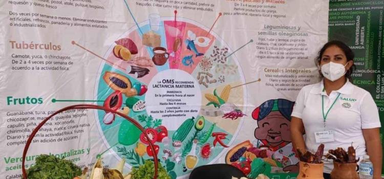 Dieta de la Milpa una alternativa saludable Dieta de la Milpa una alternativa saludable