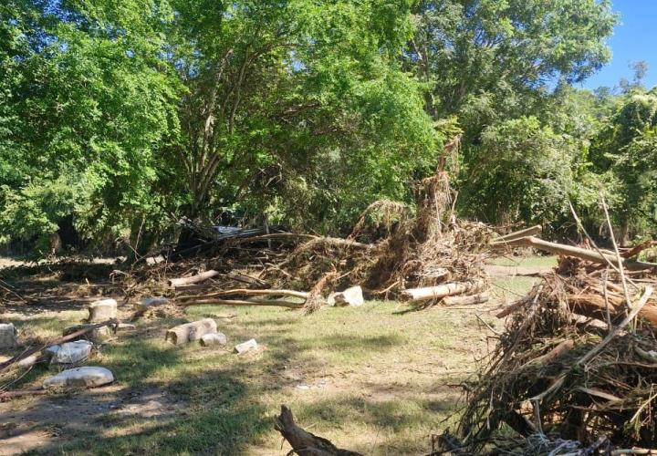 Invita directiva del campo del Amajac a darle manita de gato 