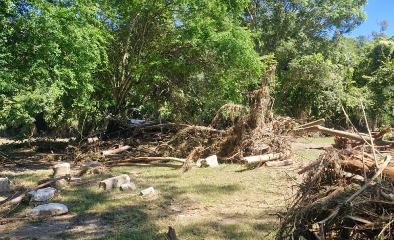 Invita directiva del campo del Amajac a darle manita de gato 