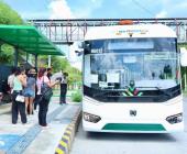 Varios Jóvenes dañaron unidades de "RedMetro"