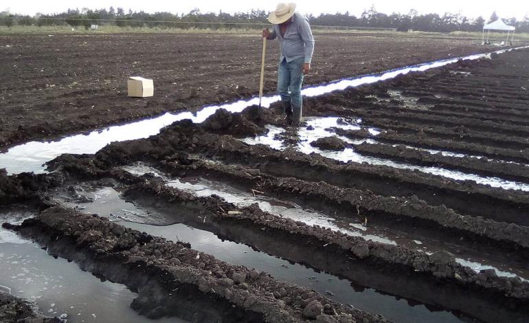 Despilfarran  el agua