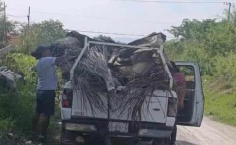 Captan a individuo "arrojando" basura
