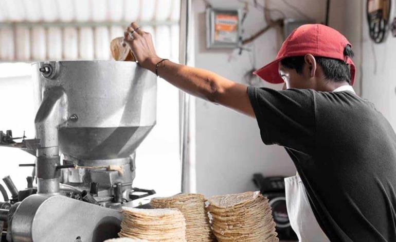 A $30 Kg. de tortilla