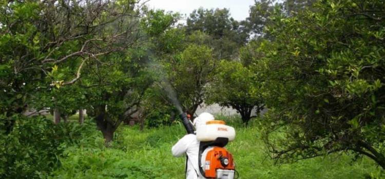 ´Lucha millonaria´ contra las plagas ´Lucha millonaria´ contra las plagas
