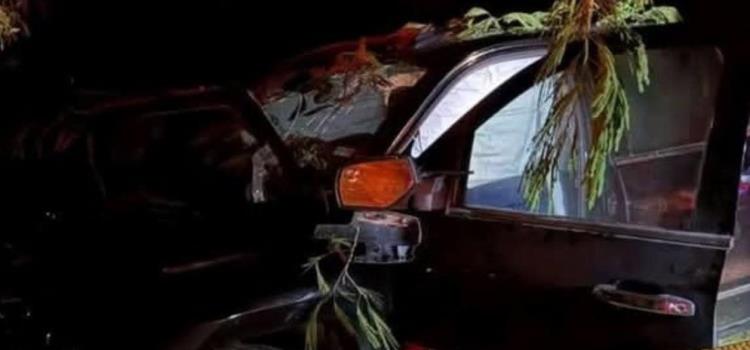 SE MATÓ MIGRANTE AL CHOCAR SU VEHÍCULO SE MATÓ MIGRANTE AL CHOCAR SU VEHÍCULO