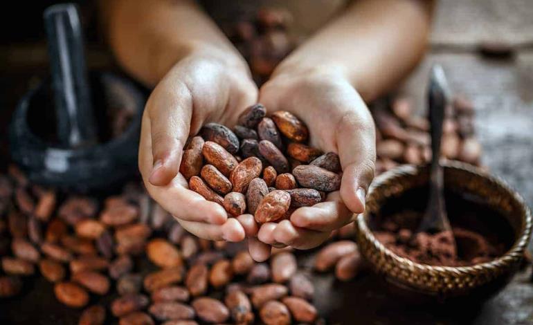 Cacao por las nubes