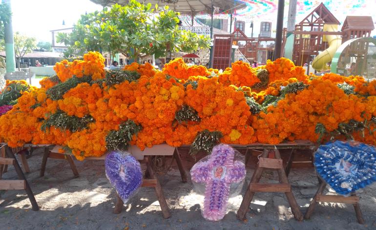 Rollos de flor hasta en 150 pesos