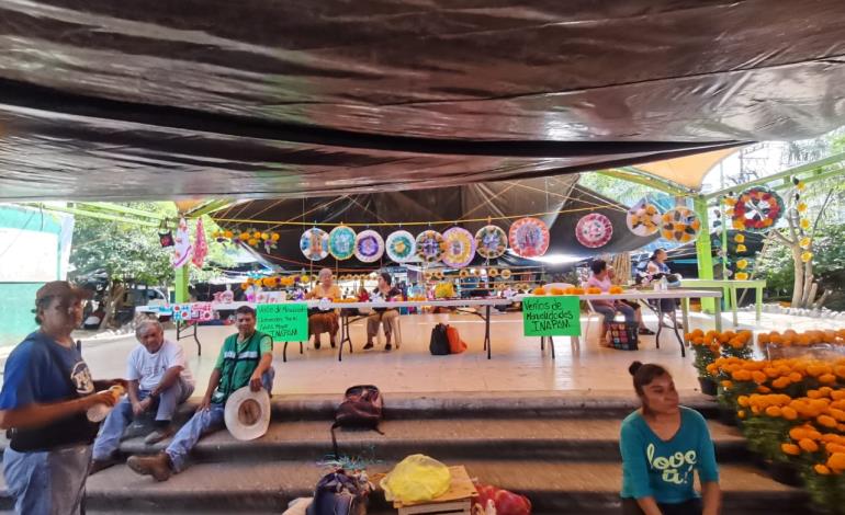 Trabaja INAPAM con manualidades